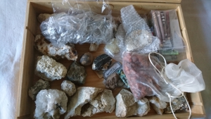 Viele verschiedene Steine und Fossilien für den Sammler Bild 6