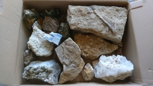 Viele verschiedene Steine und Fossilien für den Sammler Bild 8