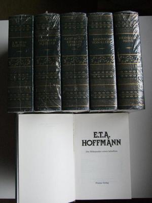 Sammlungsedition "Deutsche Literatur" Bild 5