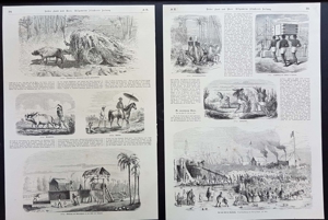 2 Seiten Indigo Indien Kalkutta Holzstich um 1860 antik