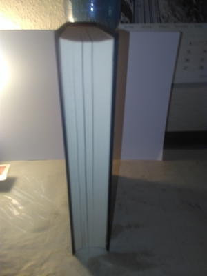 Spurlos Berlitz, Charles Bild 6