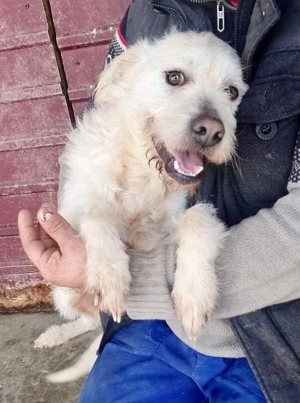 DIAMOND sucht sein Singlekörbchen bei erfahrenen Menschen! Bild 5