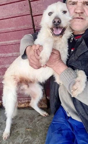 DIAMOND sucht sein Singlekörbchen bei erfahrenen Menschen! Bild 8