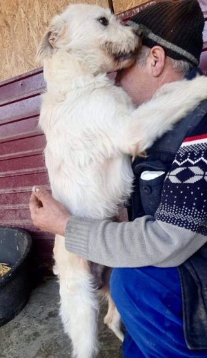 DIAMOND sucht sein Singlekörbchen bei erfahrenen Menschen! Bild 9