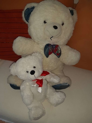 teddybär