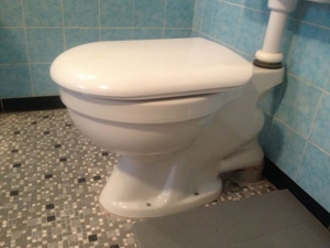 GEBERIT-WC-Deckel, weiss, Top-Qualität, sehr stabil und gut erhalten, mit NIRO-Scharnieren Bild 1
