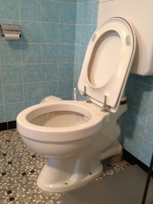 GEBERIT-WC-Deckel, weiss, Top-Qualität, sehr stabil und gut erhalten, mit NIRO-Scharnieren Bild 2