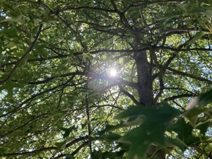   REDEN   ein LICHTBLICK, wenn das Herz beladen ist.  