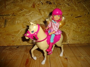 Chelsea mit Pony zu verkaufen