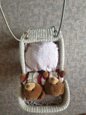 Haka Puppenwagen Bild 4