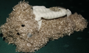 Plüschbär/oder hund braun liegend mit Schal ca. 20 cm lang