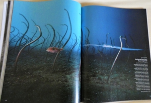 GEO Die Welt mit anderen Augen sehen - Humboldt gegen Darwin Bild 4