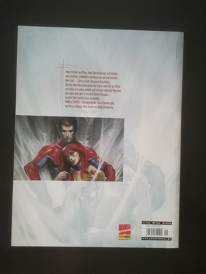 Marvel Graphic Novels - Spider-Man Parallelitäten Bild 2