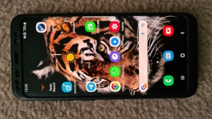 Samsung Galaxy S8_SAR 0,32_inkl. 360  Schutzhülle_NEUWERTIG Bild 14