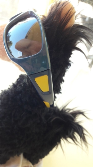 Neuwertige Sonnenbrille für Kinder; beim Optiker gekauft; TOP-Zustand!!! Bild 2