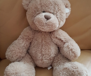 Kuschelweicher Teddybär Bär Stofftier Plüschtier Kuscheltier Stofftier neu