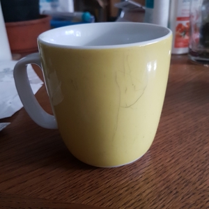 Ersatz Ikea Tasse. Preis verhandelbar!!!