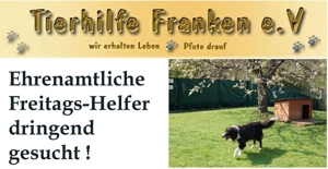 Ehrenamtliche Freitags-Helfer gesucht!