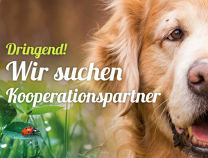 Tierhilfe Franken e.V. sucht Kooperationspartner