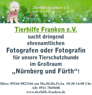 Fotograf/in gesucht!