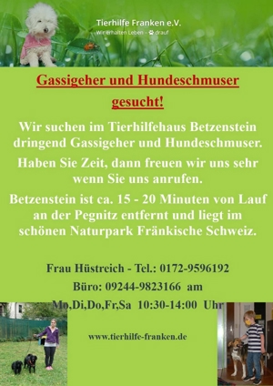 Gassigeher und Hundeschmuser gesucht!