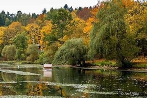 Den Herbst im Schwarzwald erleben Bild 5
