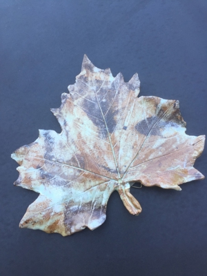 Hochwertige Design Keramik Bild 4