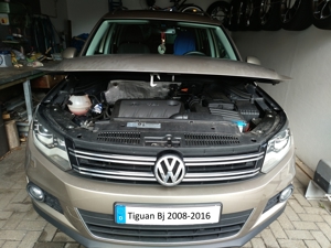 VW Tiguan Haubendämpfer, Haubenlift, Motorhaube Dämpfer Edelstahl Bild 1