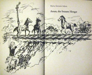 Schöne Pferdegeschichte Assan, der braune Hengst von Adam Maria Antonie in sehr gutem Zustand Bild 5