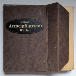 Gehes Arzneipflanzenkarten Folge 1 - 10, 1920 Bild 1