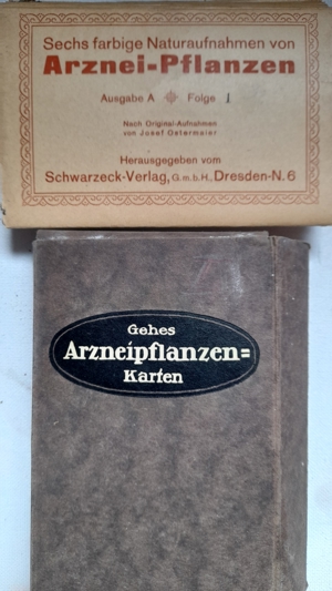 Gehes Arzneipflanzenkarten Folge 1 - 10, 1920 Bild 2