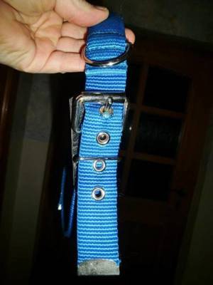 Blaues nwtg. Halsband mit ausziehbarer integrierter Kurzleine Bild 1