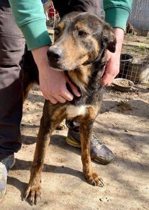 Schüchterne Liri - freundlich & verschmust Bild 5