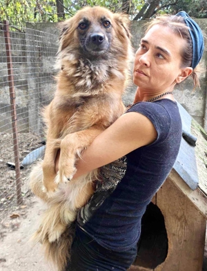 Freundliche Linda ist verspielt und verträglich Bild 17