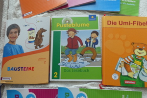 Grundschule Bücher Flex und Flora Die Welt der Zahl Mathe Deutsch Lesen Bild 3