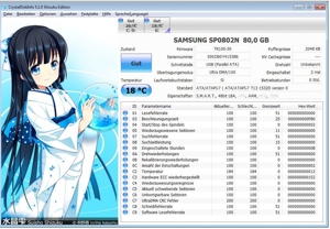 Neuwertige Samsung SP0802N 80 GB IDE Festplatte 0 Stunden! 7200 U/Min Bild 2