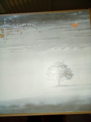 1 LP Genesis Wind and Wuthering