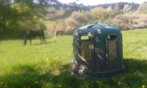 Platz für Wallach im Offenstall   Box mit Reithalle, Baumholder Bild 3