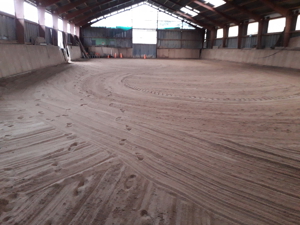 Platz für Wallach im Offenstall   Box mit Reithalle, Baumholder Bild 6