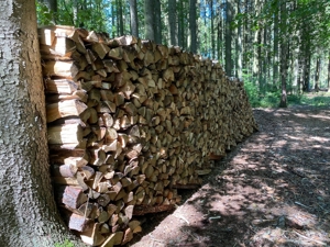 12 Ster Brennholz ca.1m lang zu verkaufen. Bild 1