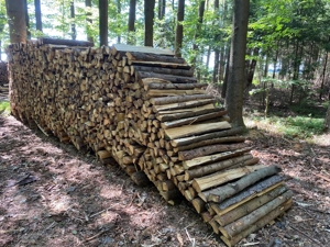 12 Ster Brennholz ca.1m lang zu verkaufen. Bild 2