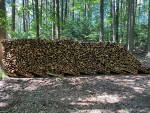 12 Ster Brennholz ca.1m lang zu verkaufen. Bild 3