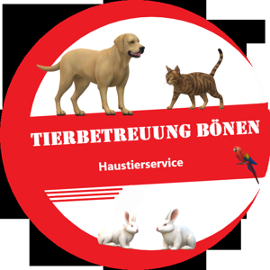 Familiäre kleine Hundepension hat noch Urlaubsplätze frei Bild 3