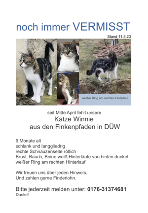 Finderlohn 400EUR Katze Winnie aus Bad Dürkheim vermisst Bild 1