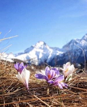 Fewo   Kitzbüheler Alpen   atemberaubende Lage   Kurzurlaub Bild 18