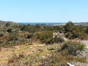 Fincagrundstück mit Wasservertrag an der Costa del Azahar Spanien nahe Peniscola + Benicarlo.