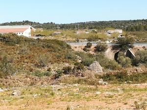 Fincagrundstück mit Wasservertrag an der Costa del Azahar Spanien nahe Peniscola + Benicarlo. Bild 6