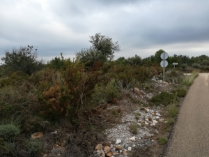 Fincagrundstück mit Wasservertrag an der Costa del Azahar Spanien nahe Peniscola + Benicarlo. Bild 9