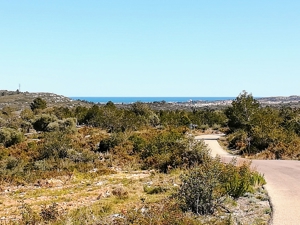 Fincagrundstück mit Wasservertrag an der Costa del Azahar Spanien nahe Peniscola + Benicarlo. Bild 2