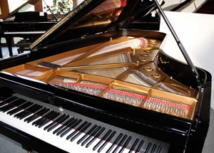 Flügel Klavier Steinway & Sons D-274, schwarz poliert, vollständig restauriert Bild 8
